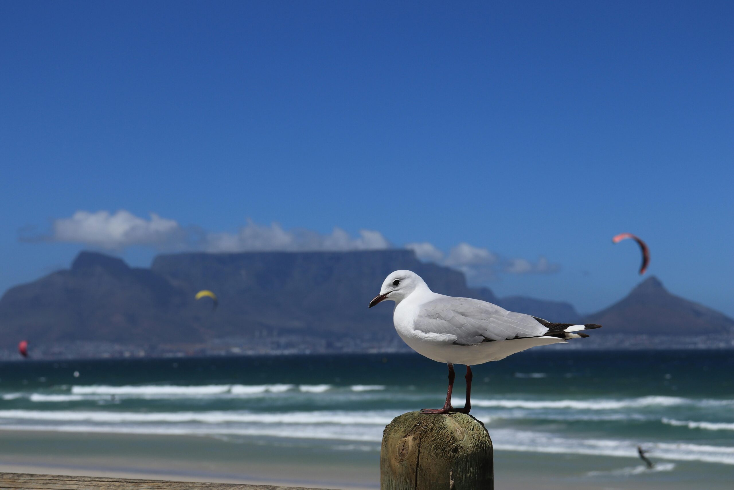 7 Things No One Tells You About Kitesurfing (Until You Wipe Out… Twice)